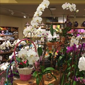 Meet your Posher, Kaye